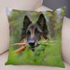 Домашнее животное овчарка декоративная наволочка для офиса гостиная автомобиль украшения дома наволочка