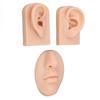 3D Nose and Mouth Model Silicone Ear Model Simulation Display Props for Piercing Suture Practice
