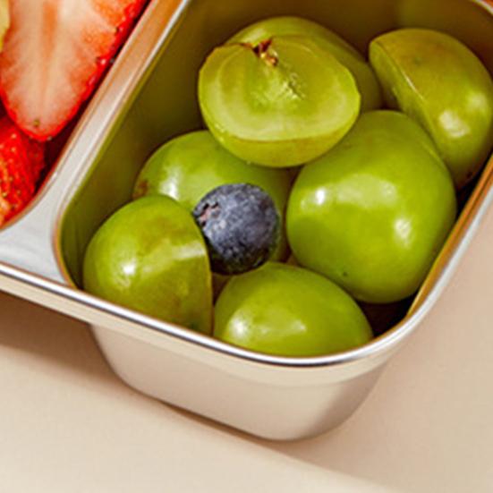 Stainless Steel Snack Containers 2 Compartment Lunch Box Leak-Proof Bento Box with Lids Reusable Food Storage Containers for Travel Camping Outdoor