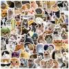 DELUXEFOX Cute Cat Sticker Set (100 Pieces) Waterproof Sticker Carry Case Suitcase Sticker Car Bike Sticker Set Doodle Sticker Seal Set Versatile