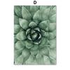 White Daisy Succulent Aloe Tropical Plant Wall Art Canvas Painting Nordic Posters And Prints Wall Pictures For Living Room Decor