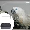 Automatic Bird Bath Tub Shower with Running Water Parrot Bathtub for Goldfinch Lovebird