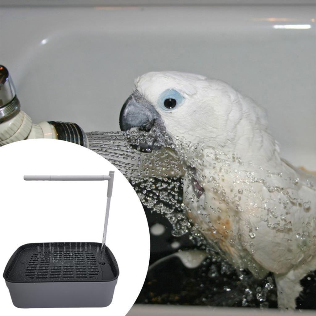Automatic Bird Bath Tub Shower with Running Water Parrot Bathtub for Goldfinch Lovebird