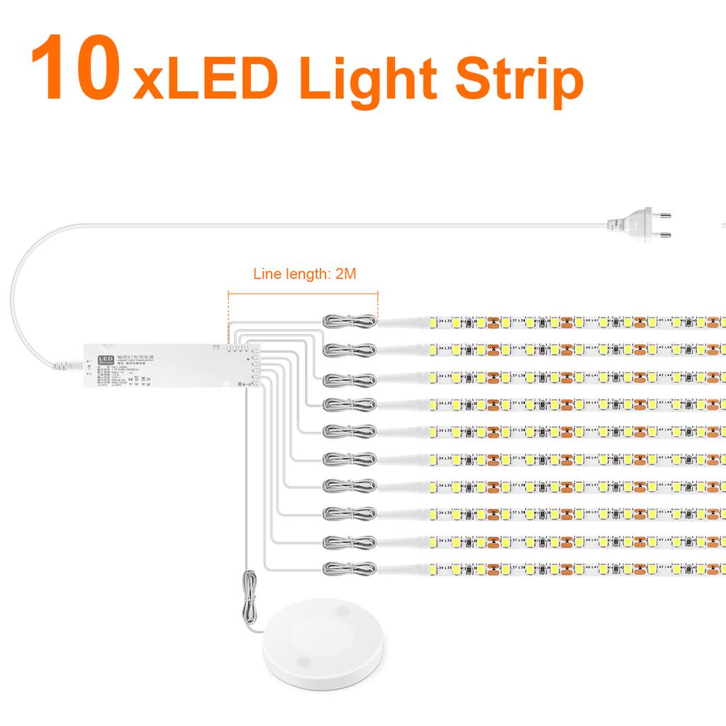 Double Layer FPCB LED Strip Lights 12V Penetrable Wood Touch Sensor Switch DIY Dimmable Shelves Liquor Cabinet Backlight Lamp