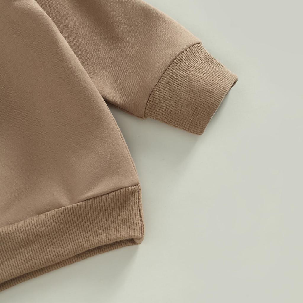 Toddler Boys 2pcs Activewear Outfits Solid Color Long Sleeve Sweatshirt T-shirt and Elastic Casual Pants Suit