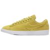 Кроссовки Blazer Low top для скейтбординга Женские AA3962-300