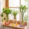 5Pcs Shatterproof Clear PVC Flower Vase Folding Plant Containers Easy To Clean Expandable Vase  Room