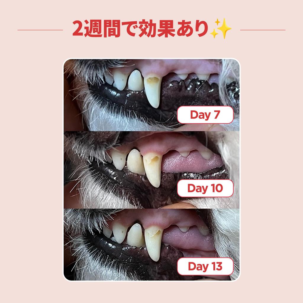 Зубная щетка JAYU PET Dental Care Brush Мягкая зубная щетка для удаления зубного камня и налета у кошек, горизонтальная головка, край корпуса - удаление, и S-образный изгиб (1, щетина)