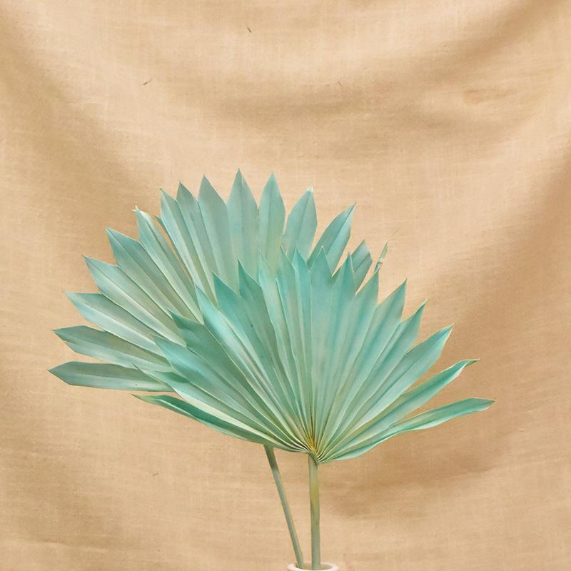 Dried Flower Bouquet Material New Version Guanyin Fan Flower Arrangement Decoration Rural Home Palm Dried Flower Material