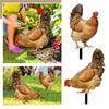 Realistic Chicken Statues,Acrylic Rooster Animals Stakes,Animals Sculptures Decor,Chicken Ornaments Yard Art Decor For Backyard Patio