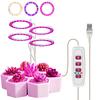 LED USB Grow Light Phytolamp for Plants 16H Timer Control Full Spectrum Lights Home Flower Seedling Clip Phyto Lamp