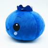 TreasuringU Cartoon Blueberry Plush Toys Kawaii Blue Fruits Stuffed Doll 22cm Cute Blueberry Soft Pillow Plushie Birthday Gifts