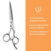 Titan Professional Hair Scissors Salon Hair Cutting Shears Hair Scissors 6 Inch JAPAN ATS 314 STEEL HIGH-END BARBER SCISSORS