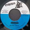 7inch Record RICHIE SPICE - Only Jah NONE Ffrench 2000 Jamaica Reggae, Ska & Dub Used