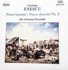 CD ЖОРЖ ЭНЕСКУ, АНСАМБЛЬ СОЛОМОНА - Фортепианный квинтет / Фортепианный квартет 2 8557159 Naxos 2003 Не Япония Классика Б/У