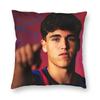 Pau Cubarsí Pillowcase Polyester Linen Velvet Creative Zip Decorative Pillow Case Sofa Cushion Case 18"
