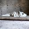 3D Подвижный Скелет Дракона - Шарнирный Окаменелый Каркас, Креативный Подарок на День Рождения для Детей