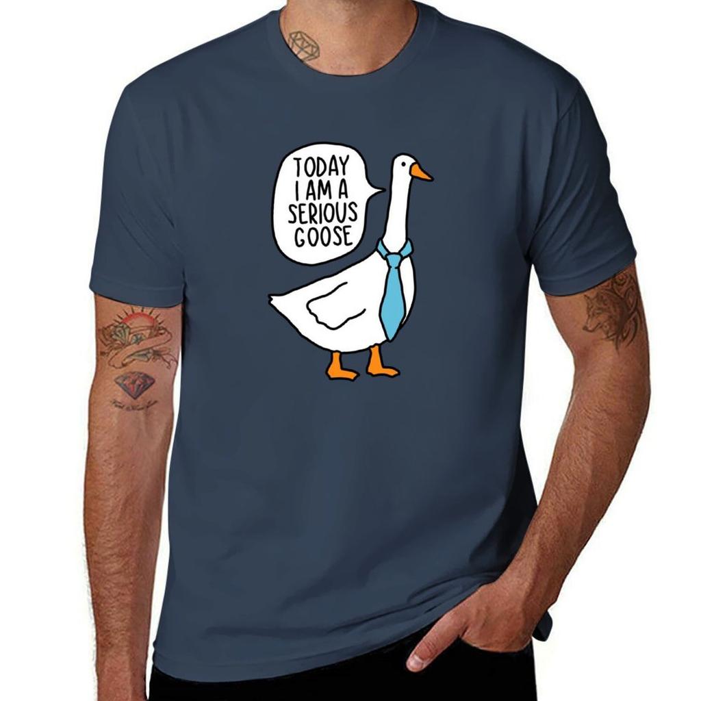 Today I Am A Serious Goose Tshirt Basic Solid Color Casual Tee Shirt