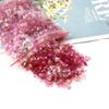 10g Nail Art Glitter Candy Color Flakes Irregular Manicure Nail Tips Decoration Sequins Paillette
