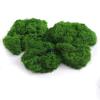 Bionic Moss Bonsai Ornament - Landscaping Turf Arrangement for Lawn and Paving Decoration