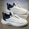 Spring Men's Shoes New Breathable Little White Shoes Men's Trend Versatile Platform Sports Shoes Casual Running Dad Shoes Men