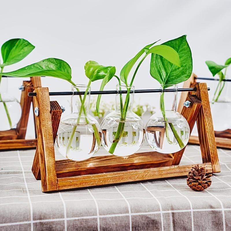 Hydroponic Vase Glass Transparent with Wooden Stand Creative Simple Desktop Green Plant Cultivation Container Home Decoration Or