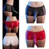 Mens See-Through Boxer Briefs Stretchy Breathable Contour Pouch Underpants Shorts Underwear Valentines Day Gift
