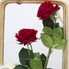 Useful Artificial Flowers Anti-fade Vibrancy Real-looking