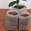 Ventilate Growing Vegetable Planting Garden Supplies Plants Nursery Bags Grow Bags Nursery Pots