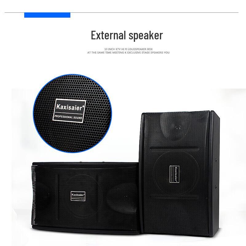KAXISAIER 10-inch Professional KTV Karaoke Speaker CN plug (adapter included)
