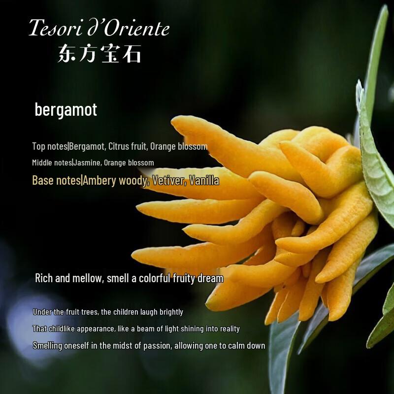 Tesori d'Oriente Turkish Hammam Fragrance Shower Gel