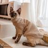 Кошки – Одежда для кошек