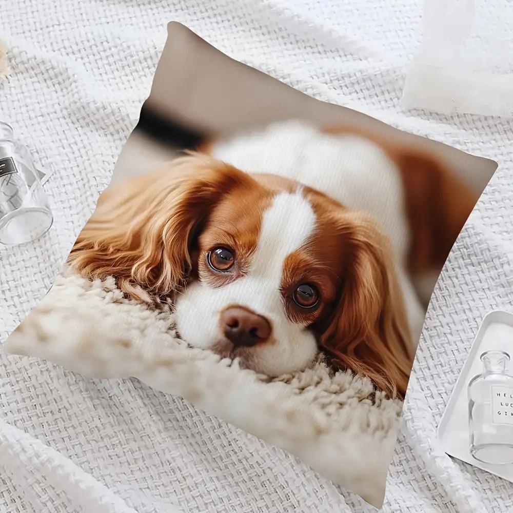 1pc Contemporary Style Polyester Filled Pillow Cover, Cavalier King Charles Spaniel Print, Soft and Smooth Polyester Short Plush Fabric, Single-Sided
