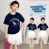 Girls' Summer Outfit Set - T-shirt and Half Skirt
