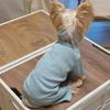 Korean-Style Autumn/Winter Four-Legged Pet Shirt for Small Dogs