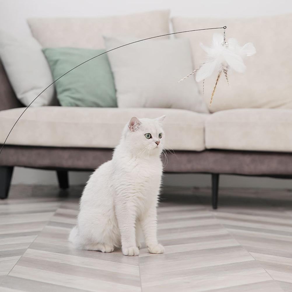 1 шт. Запасное перо для кошачьей дразнилки, кошачьи товары