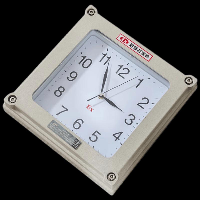 Промышленный взрывозащищенный настенный clock Huxin