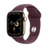 Apple Apple Watch Series 12 Cellular 42 мм Корпус из титана (Китайская версия)
