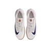 Nike Court Air Zoom Vapor Pro 3 HC Light Bone Binary Blue Мужские кроссовки Cream Summit-White Phantom FZ2161-100