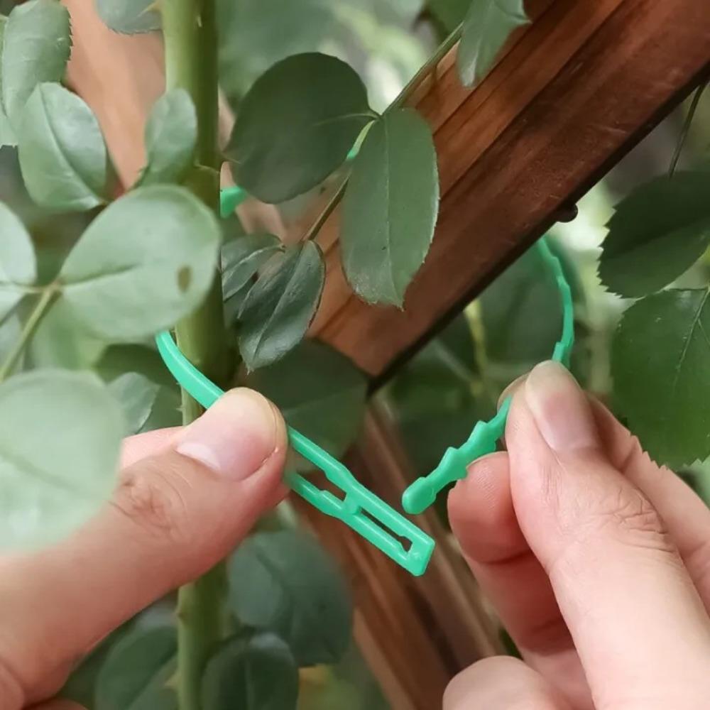 30pcs Plastic Cable Ties Adjustable Multi-Purpose Plant Dedicated Fastener Reusable Cable Ties Organizer for Plant Vine Support