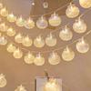 LED Bedroom Tent Light, Shell Sea Star Decorative Light for Living Room Popular Style Ambiance Light Christmas Decorations