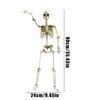 Halloween Skull Decoration Ealistic Human Skeleton Full-Body Movable Joints For Outside garden Decorative Party Supplies