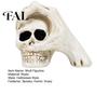 Spooky Secret Room Props Halloween Skull Hand Sculpture, Gothic Skeleton Head Figurine, Resin Creative Tricky Festival Gift Decoration for Bedroom
