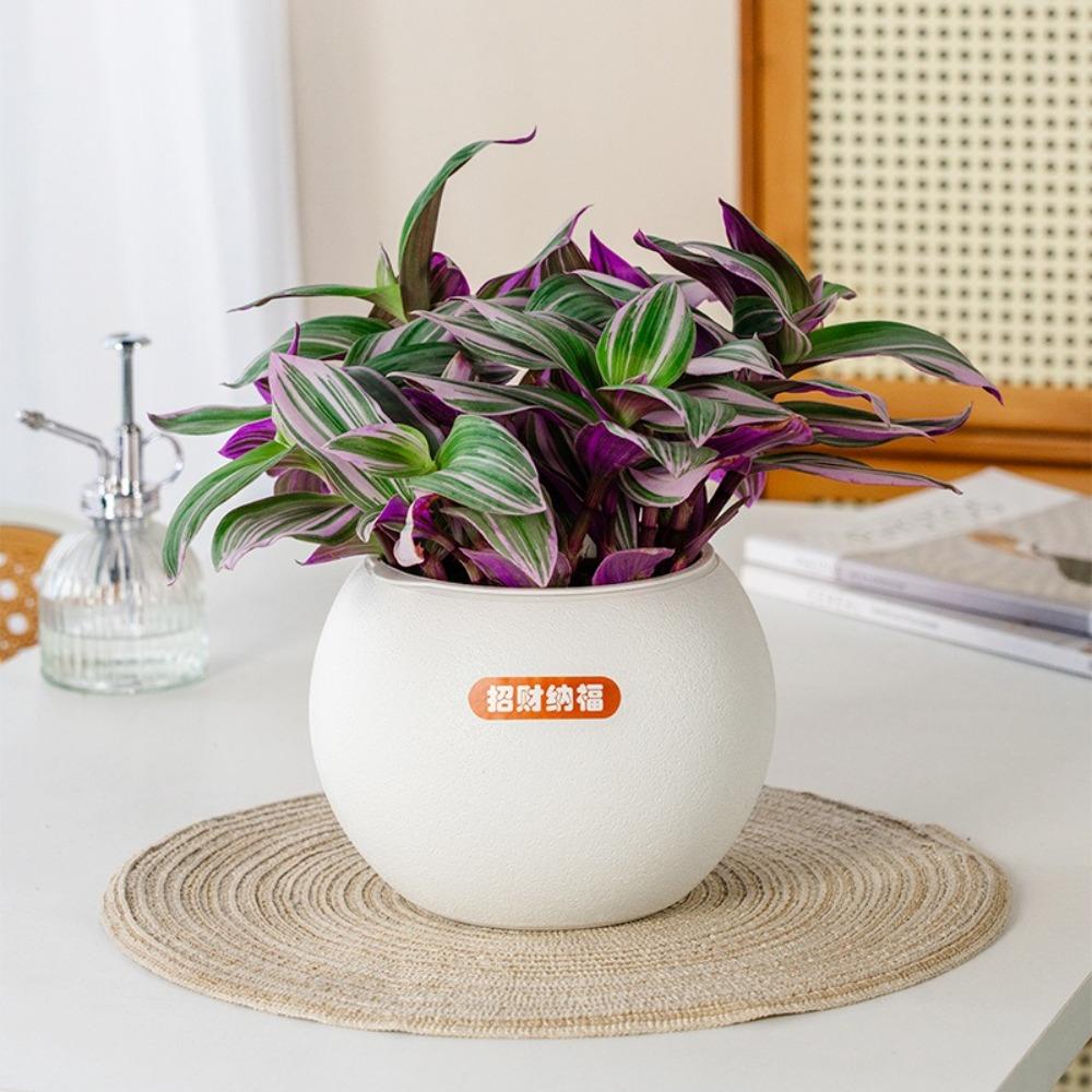 Самополивающиеся гидропонные растения горшок съемный офисный бонсай декор