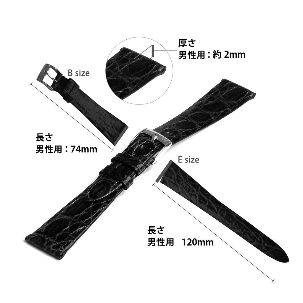 Morellato CLASSICO Caiman Crocodile Watch Dark with Replacement Tool U2212052034016M Strap, 16mm, Brown, [Officially Imported]