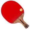 DHS H7006 7-звездочная ракетка для настольного тенниса с ручкой-пером