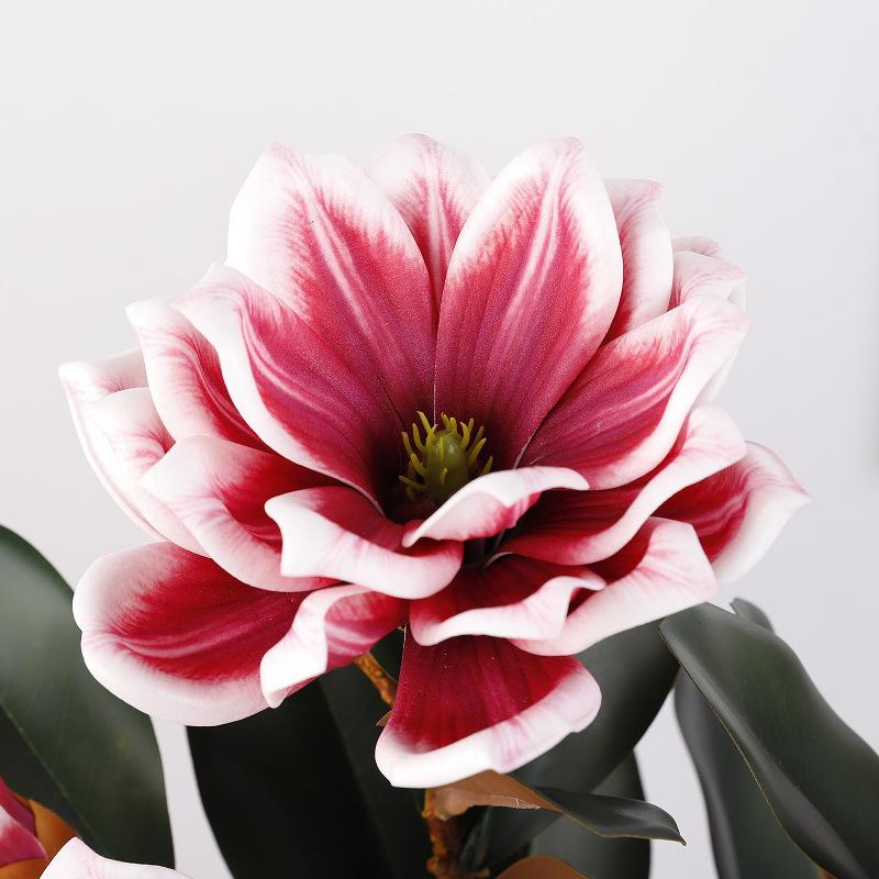 3D feel cotton magnolia flower home photography decoration flower soft wedding ornament fake flower