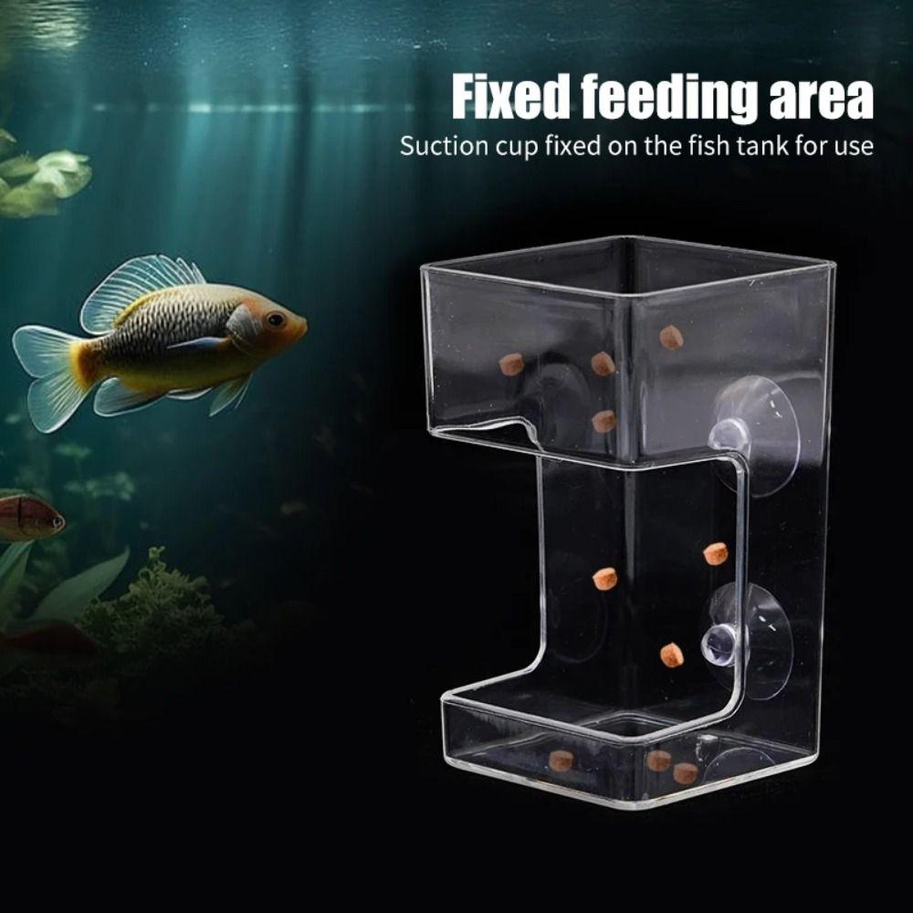 Suction Cup Aquarium Feeders Ring Acrylic Fish Tank Food Dispenser for Baby Fish Shrimp