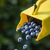 Berry Picker with Rake Comb, Ergonomic Handle Blueberries Raspberries Easy Fruit Picking Device Harvest Tool, Scoop Tool for Orchard Farm