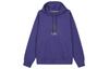 Jordan ESSENTIALS Толстовки Мужские Фиолетовые С Капюшоном Средняя Обычная FD7546-502